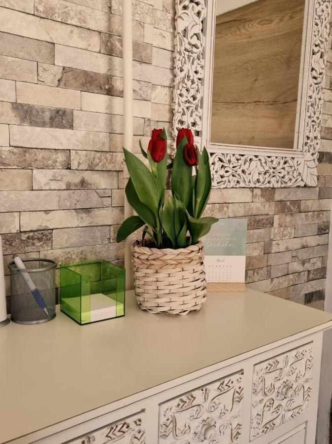 Ferienwohnung Gerersdorf Gerersdorf bei Güssing Esterno foto